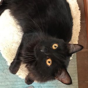 Meet your Posher, Jade